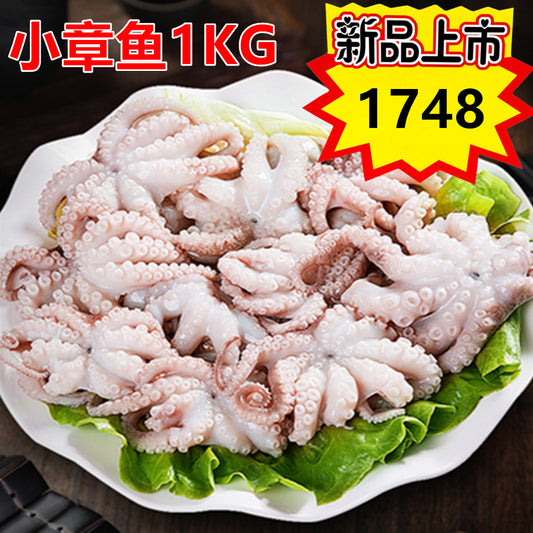 小章魚1KG  小章鱼 八爪鱼新品特价1748日元