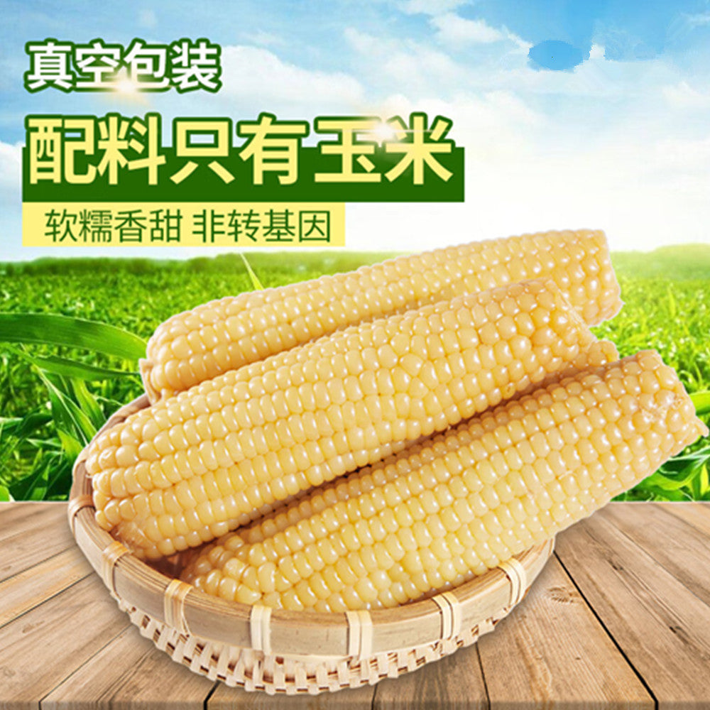 華華白糯玉米1個入* 30个整箱 中国东北甜糯玉米 又甜又糯 非转基因