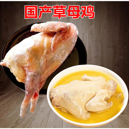 草母鶏約1.1KG  老母鸡 日本国産  冷凍品